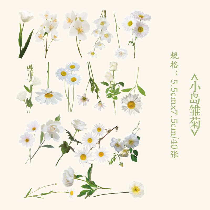 Early foam PET stickers package floral romantic series creative flower plant journal DIY material stickers 8 types selection