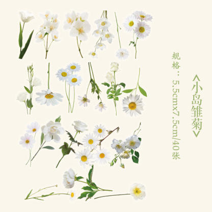 Early foam PET stickers package floral romantic series creative flower plant journal DIY material stickers 8 types selection