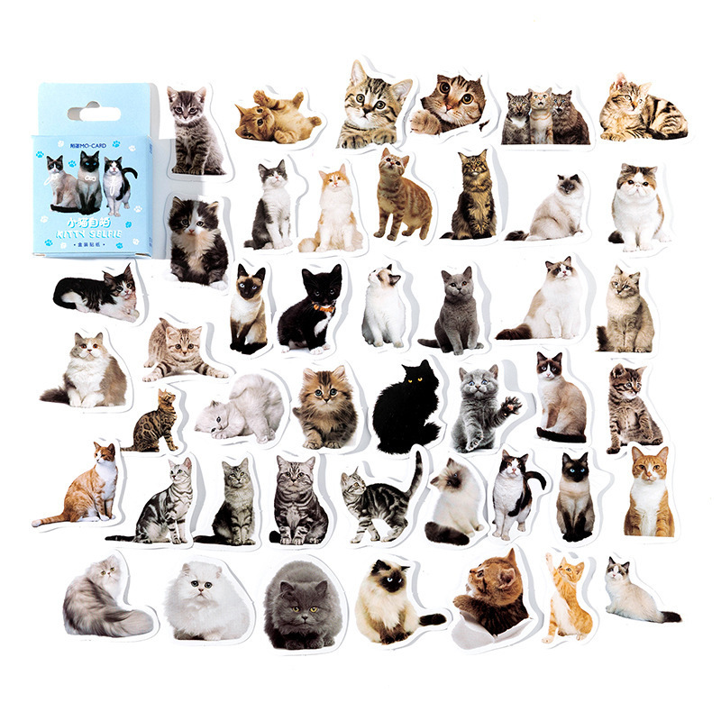 Mo Mo Boxed Stickers Everything Chronicle Series Creative Cute Animal Handbook Diary DIY Material Decorative Stickers