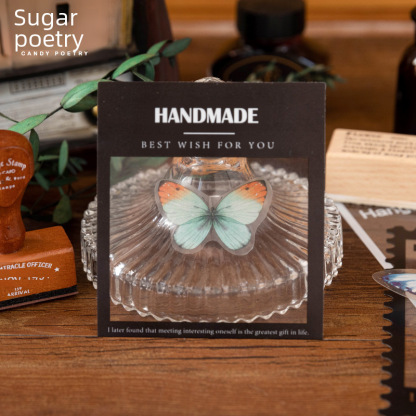 Tangshi PET white ink sticker package frame Museum series retro dream journal photo frame stickers 6