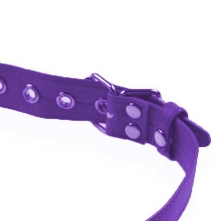 Purple Ball Gag