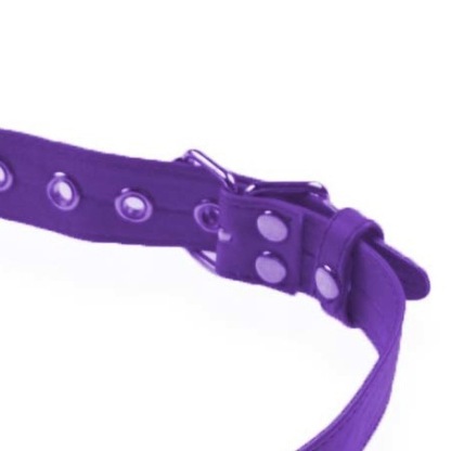 Purple Ball Gag