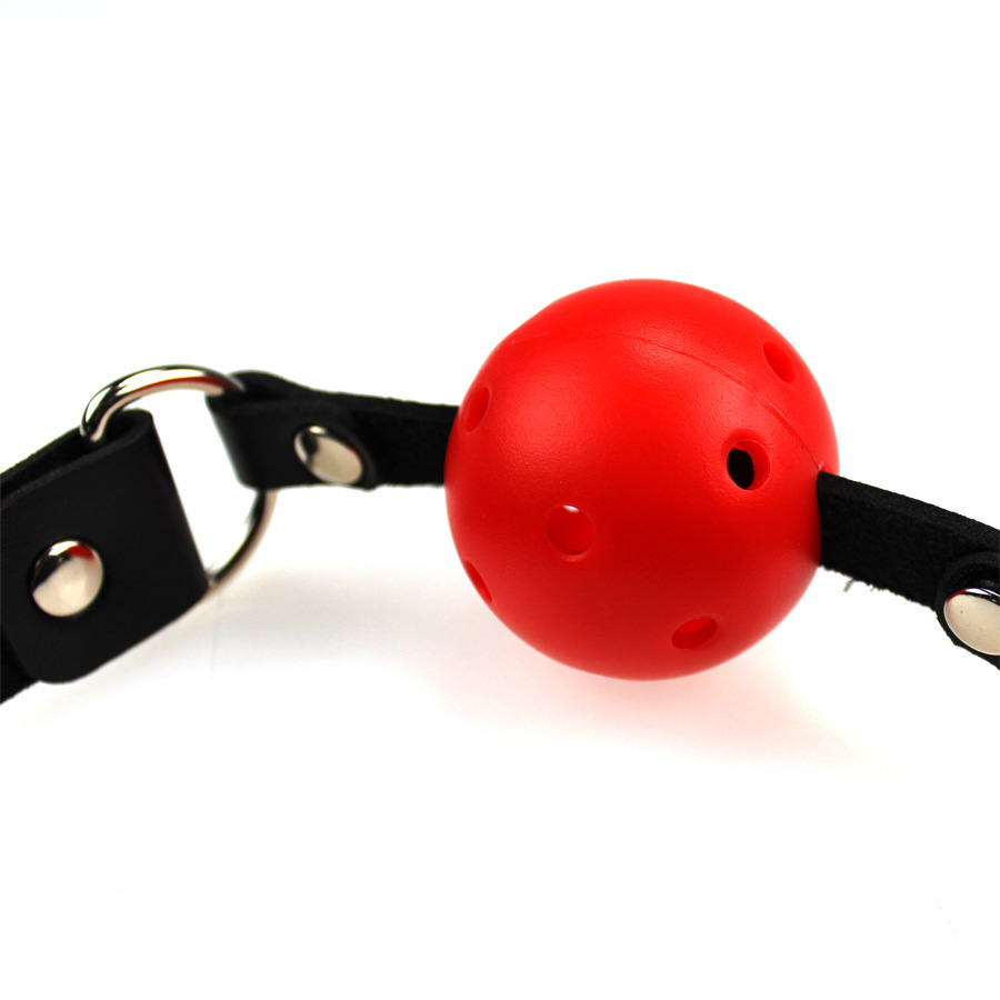 Red Ball Gag