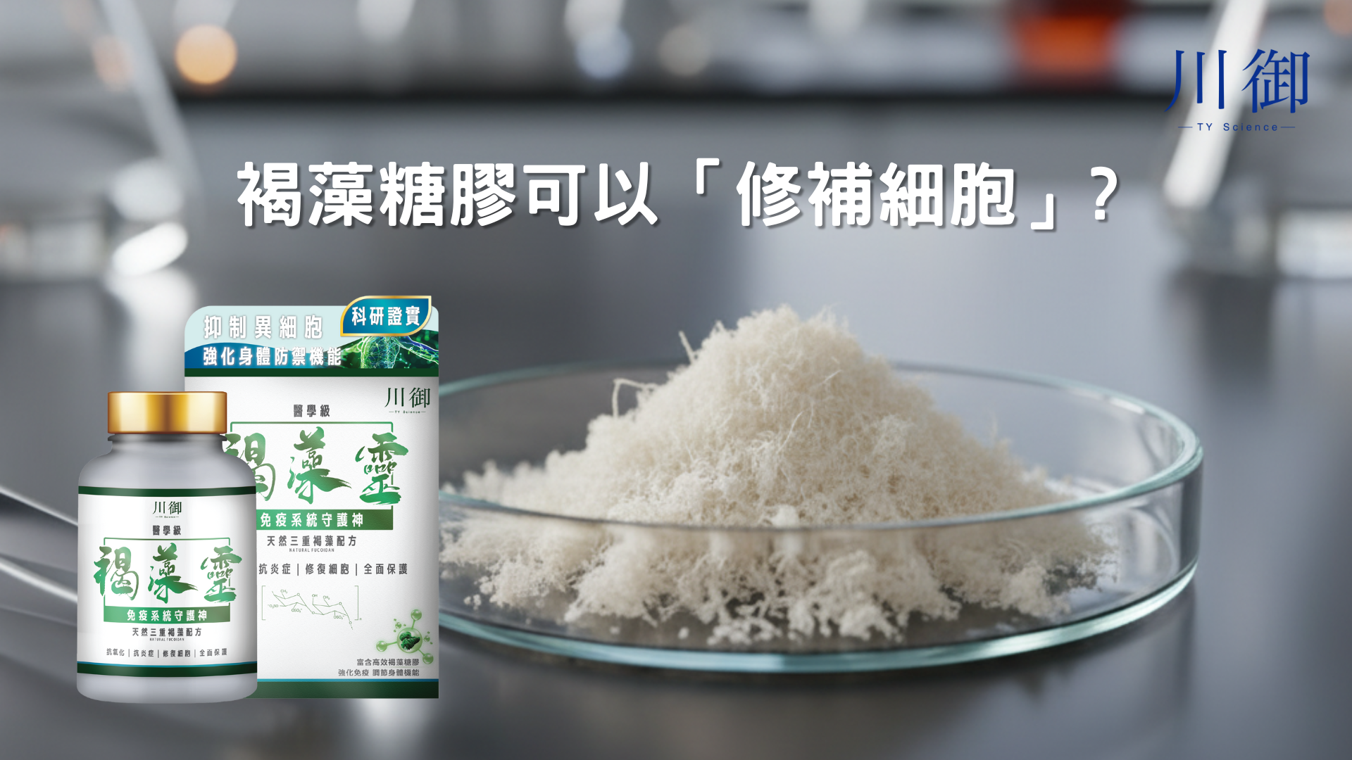 褐藻糖膠真係可以「修補細胞」？-川御 TY Science