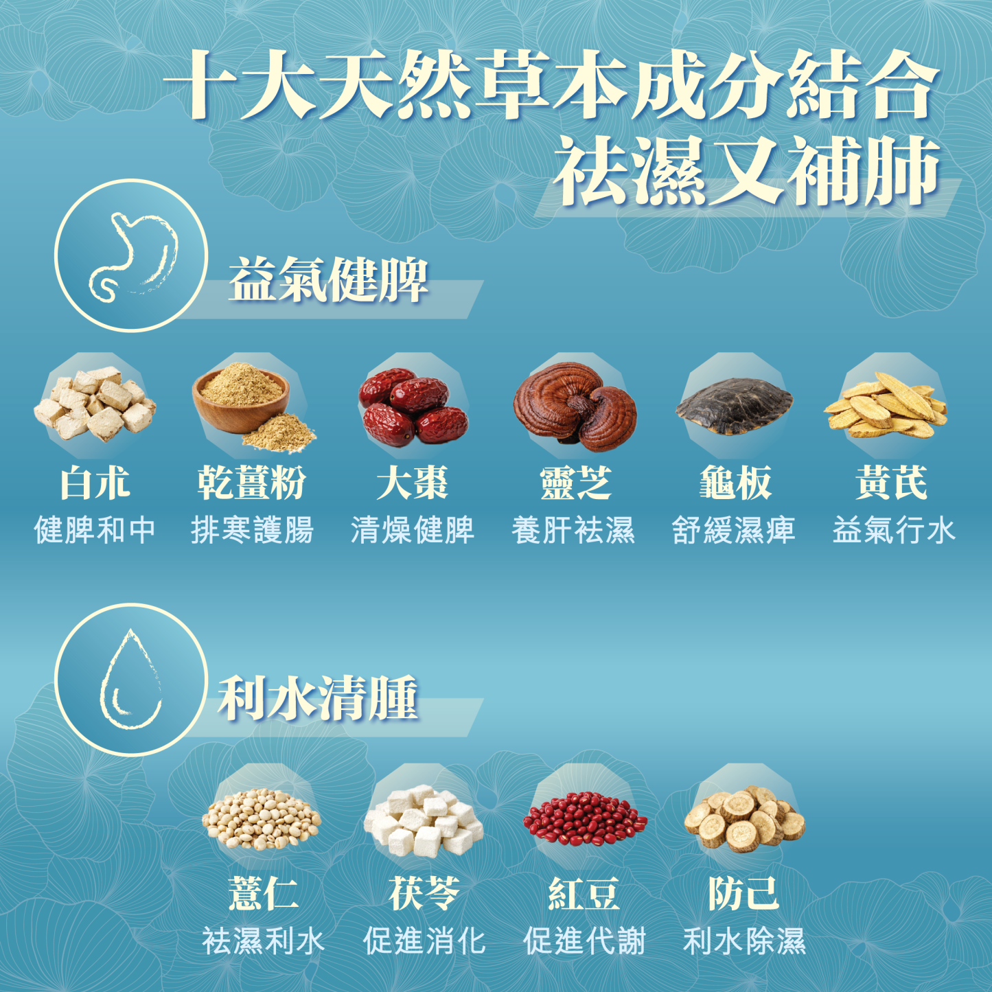 TY Science 川御 十全袪濕 草本袪濕丸