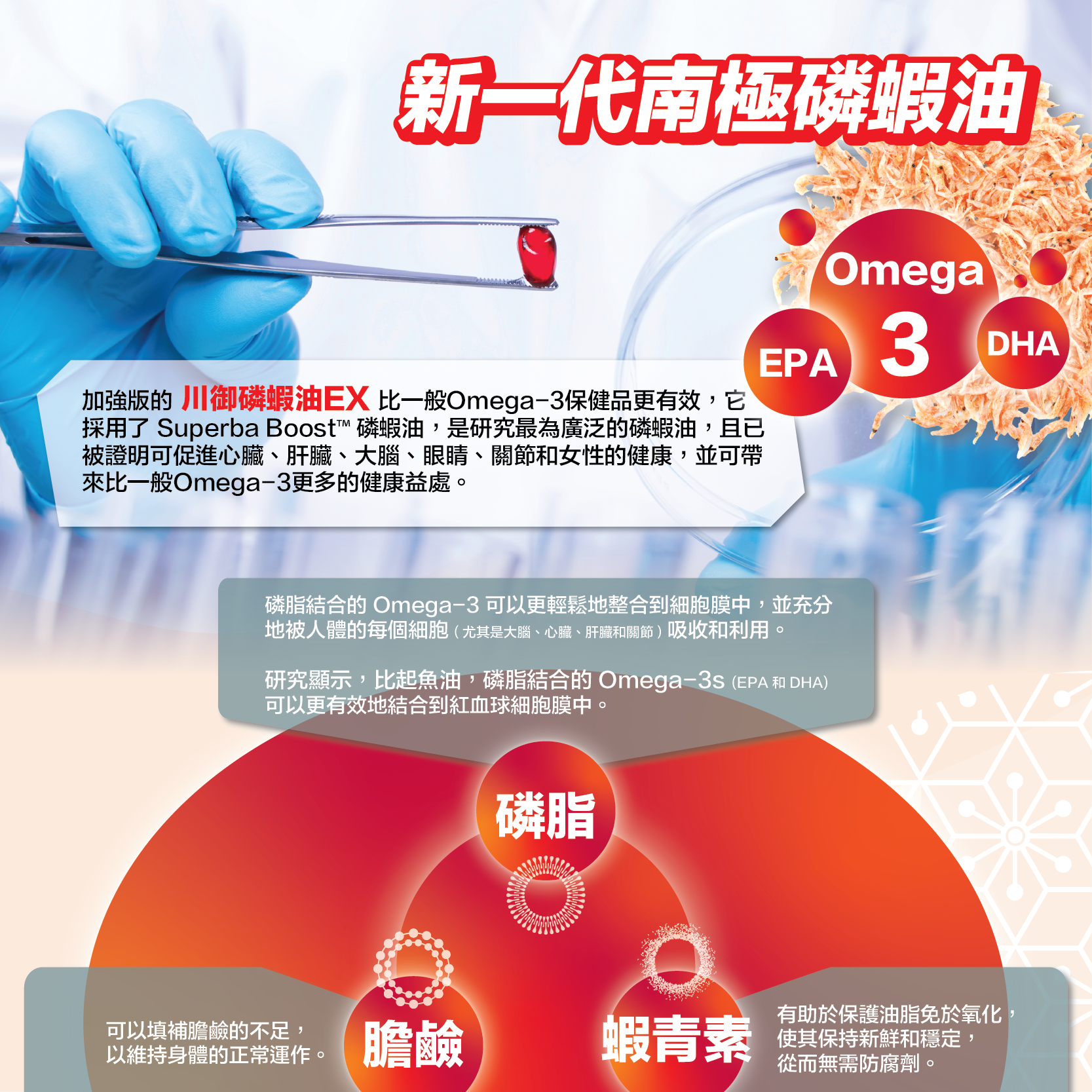 TY Science 川御 南極磷蝦油