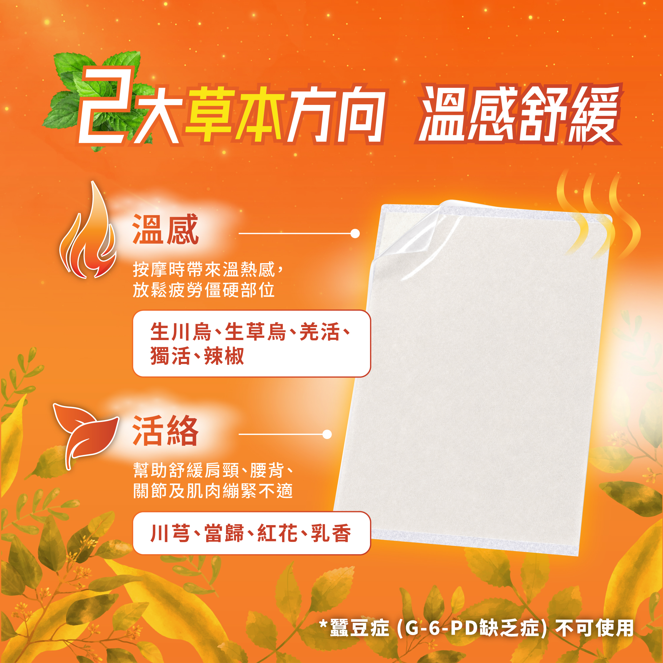 森源 熱感痛貼