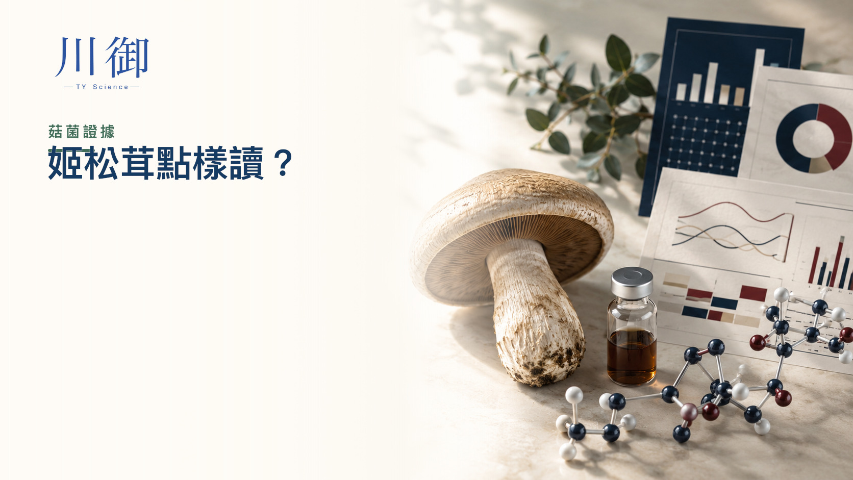 姬松茸是甚麼？物種、β-葡聚醣、免疫研究與癌症營養證據