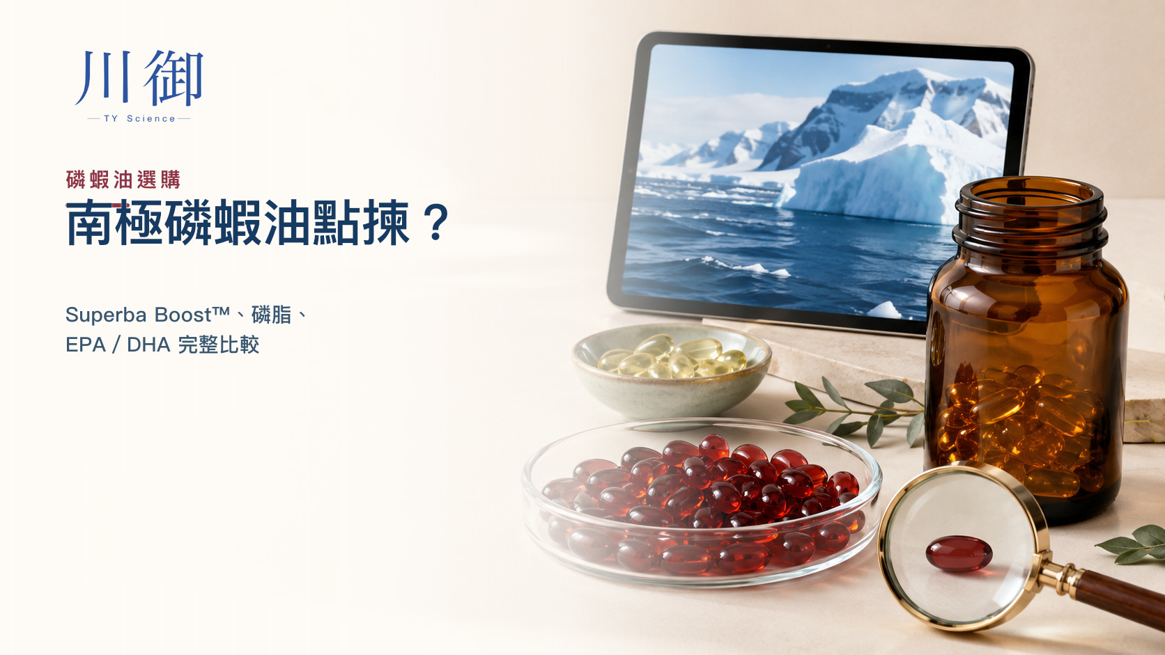 南極磷蝦油點揀？Superba Boost™、磷脂、EPA／DHA 完整比較