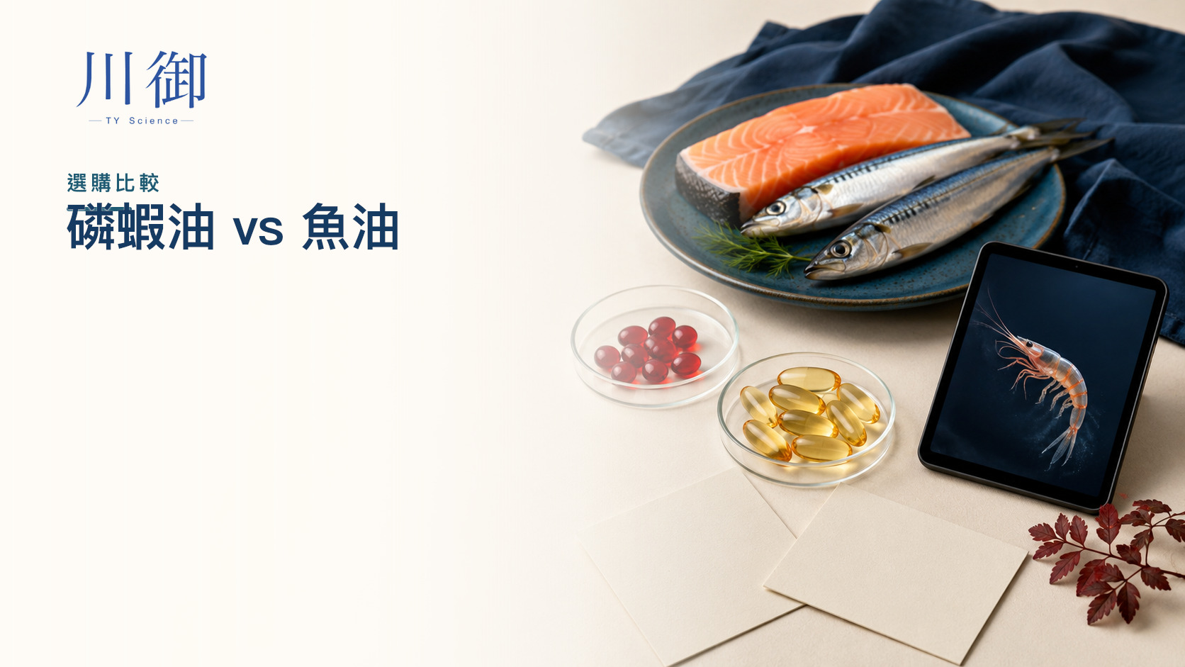 磷蝦油 vs 魚油：吸收真的高 2 倍？直接研究與選購比較