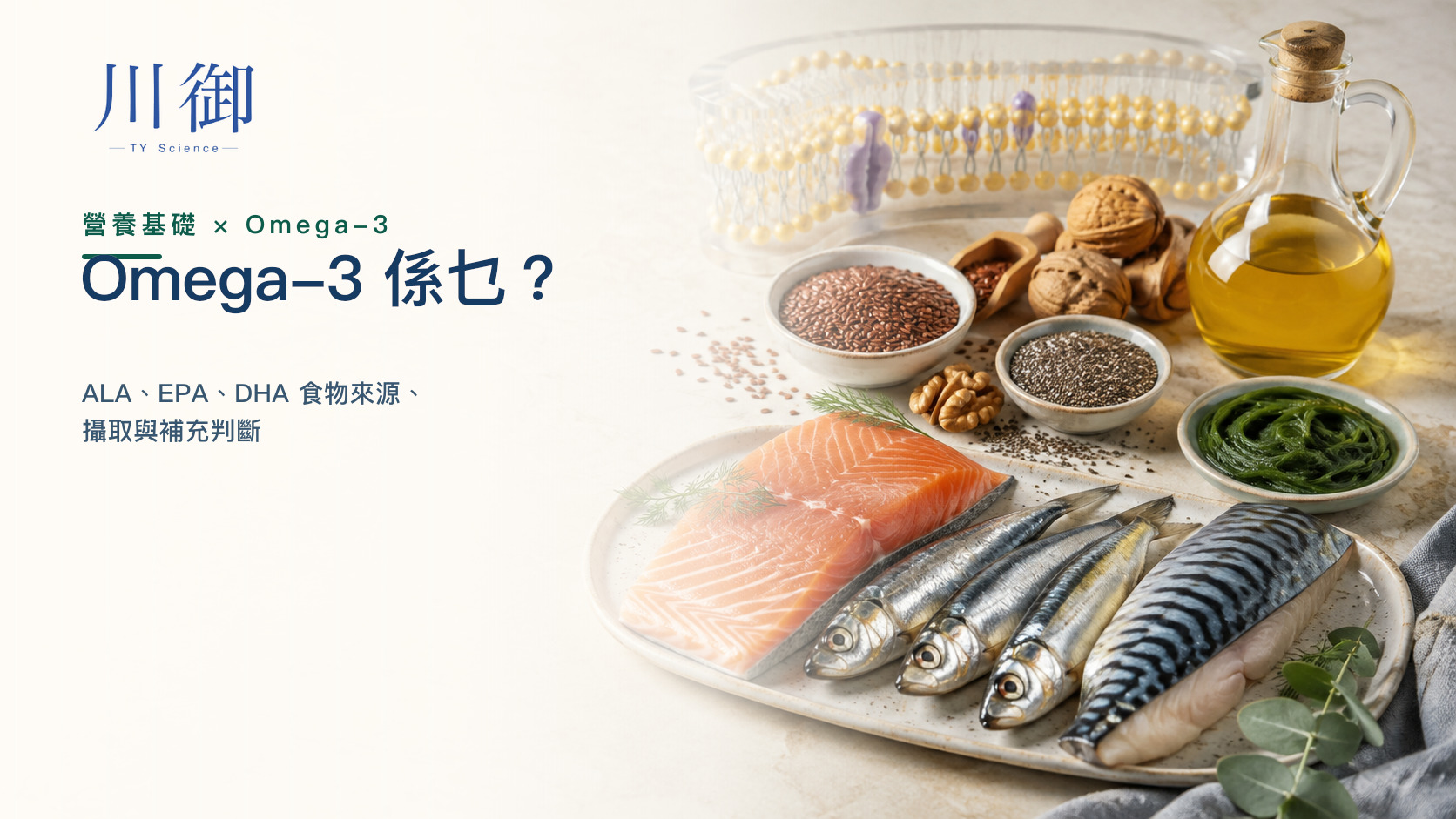 Omega-3 係乜？ALA、EPA、DHA 食物來源、攝取與補充判斷