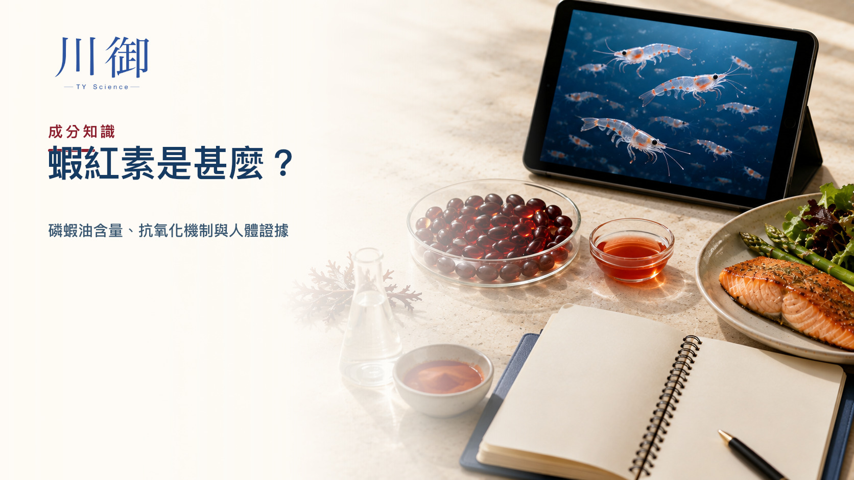 蝦紅素是甚麼？磷蝦油含量、抗氧化機制與人體證據