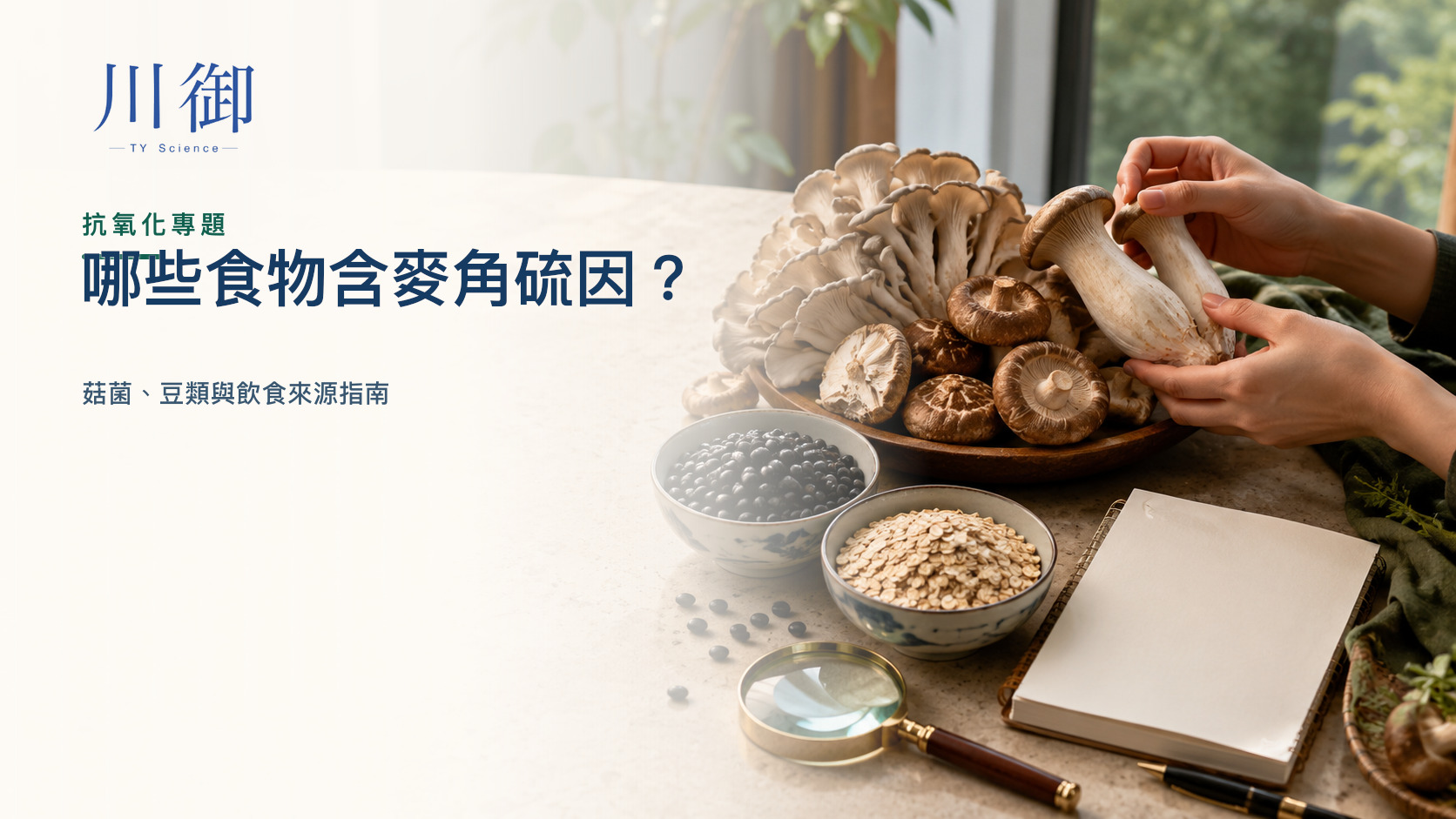 哪些食物含麥角硫因？菇菌、豆類與飲食來源指南