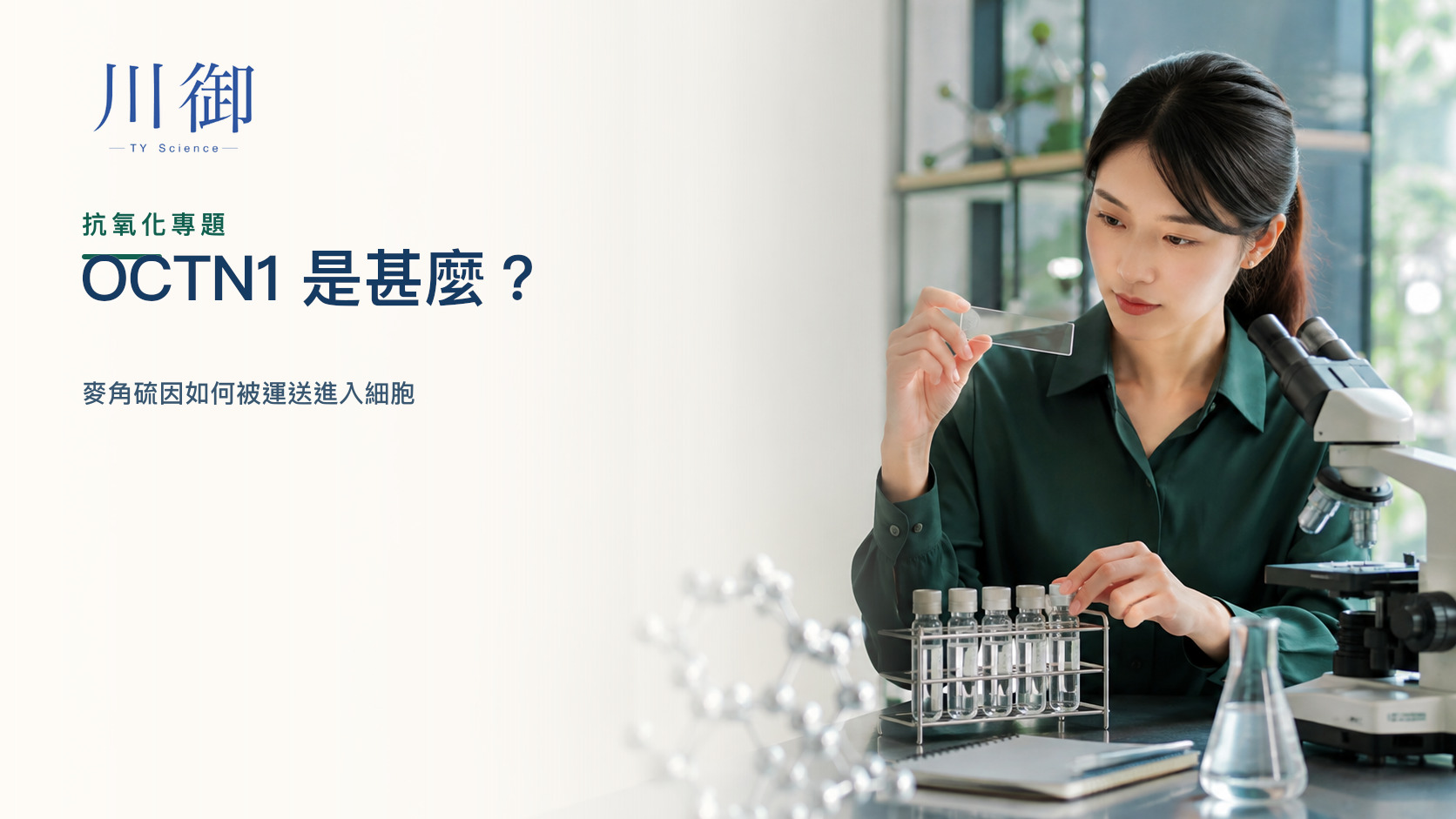 OCTN1 是甚麼？麥角硫因如何被運送進入細胞