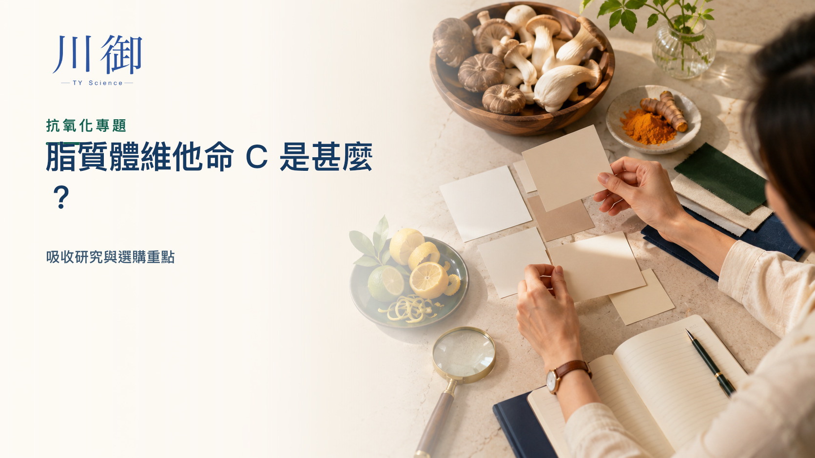脂質體維他命 C 是甚麼？吸收研究與選購重點