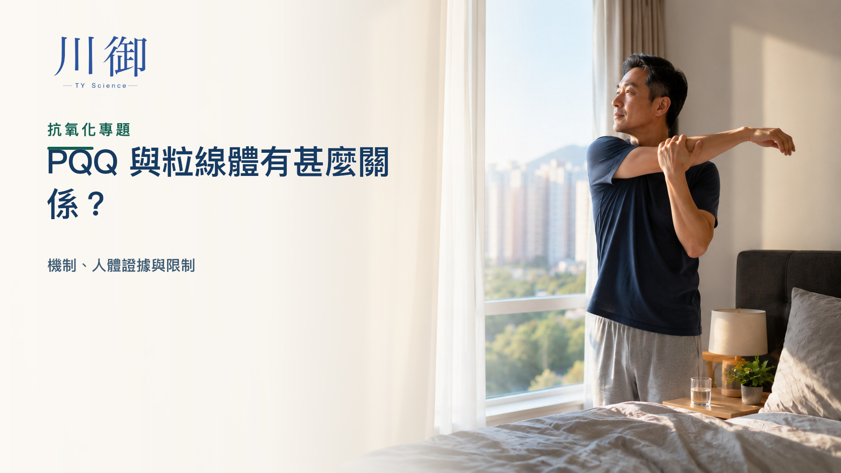 PQQ 與粒線體有甚麼關係？機制、人體證據與限制