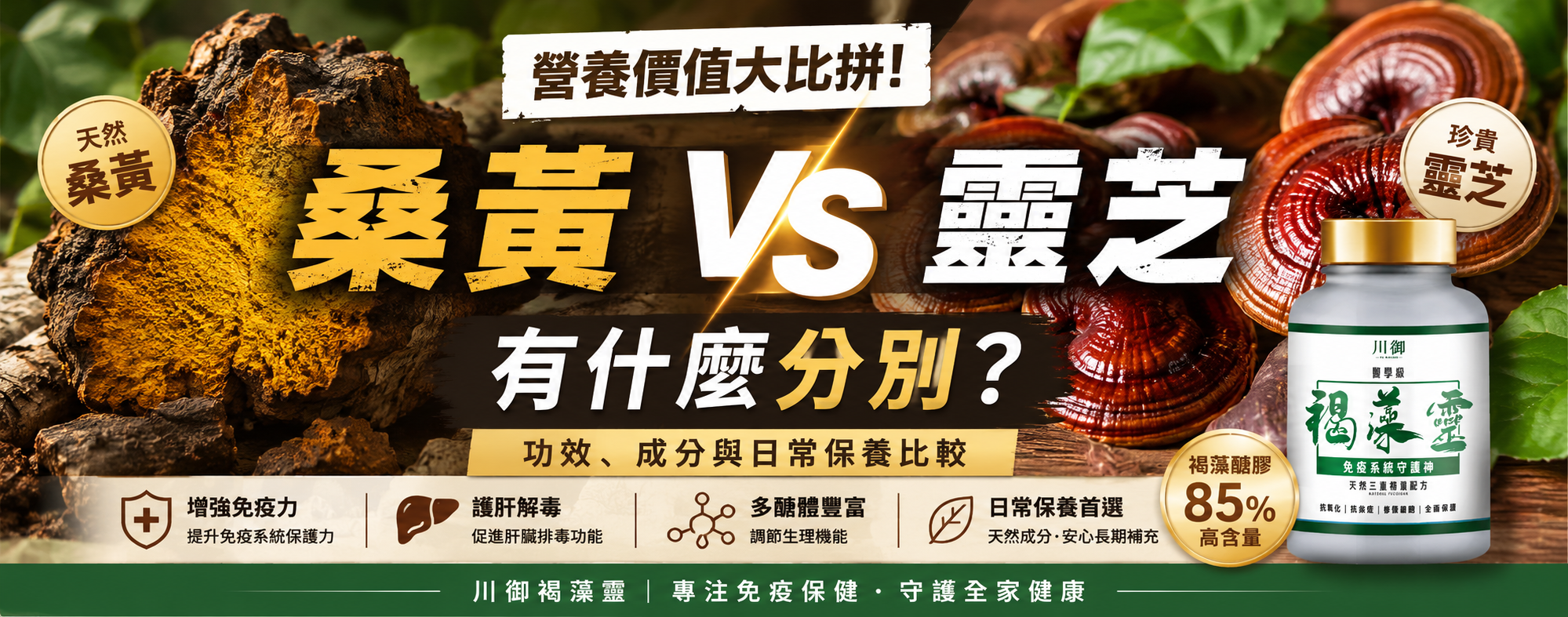 桑黃 vs 靈芝有什麼分別？功效、成分與日常保養比較｜川御褐藻靈-川御 TY Science