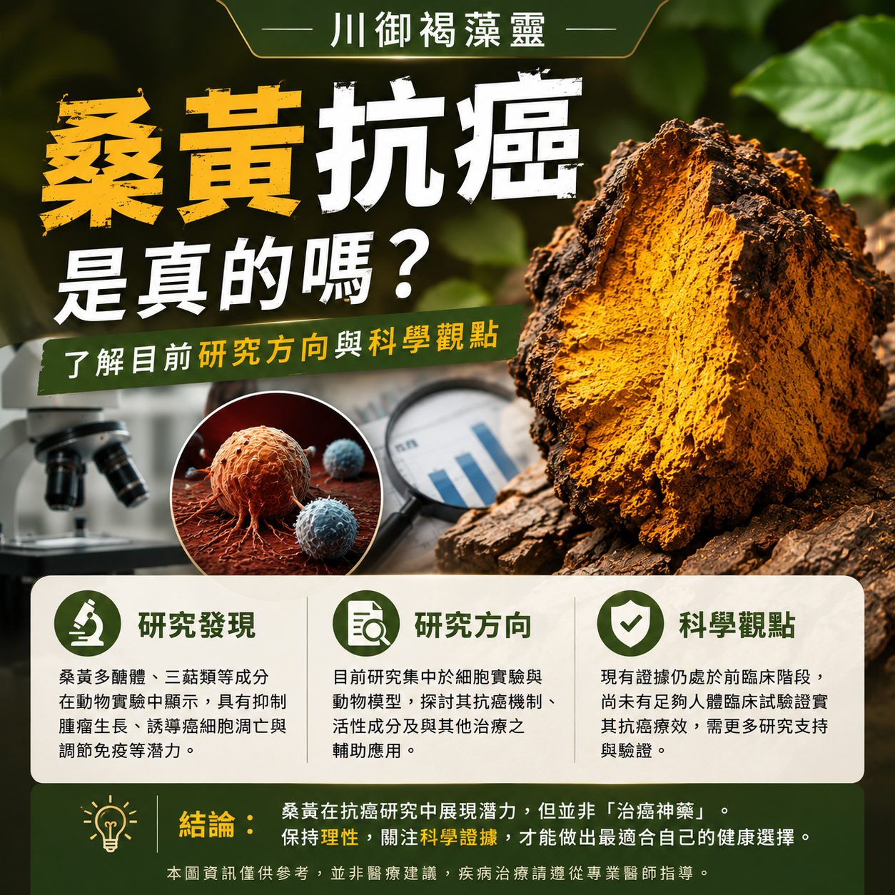 桑黃抗癌是真的嗎？了解目前研究方向與科學觀點｜川御褐藻靈-川御 TY Science