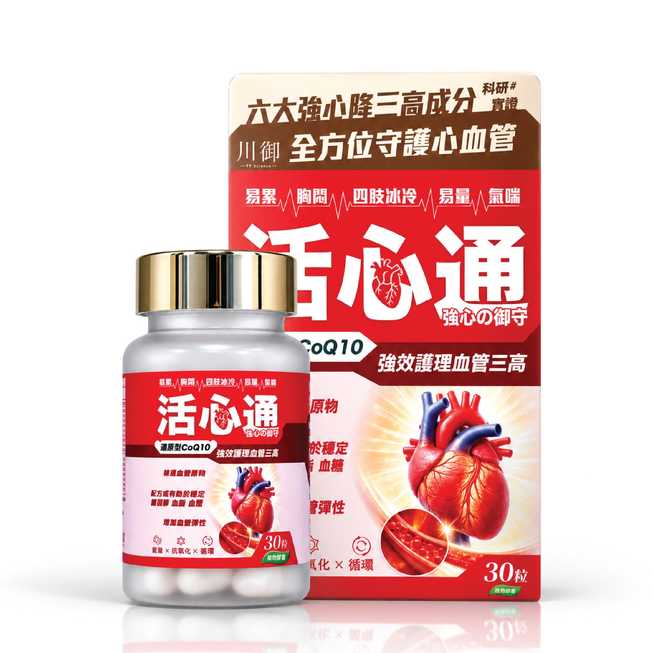 川御 活心通
