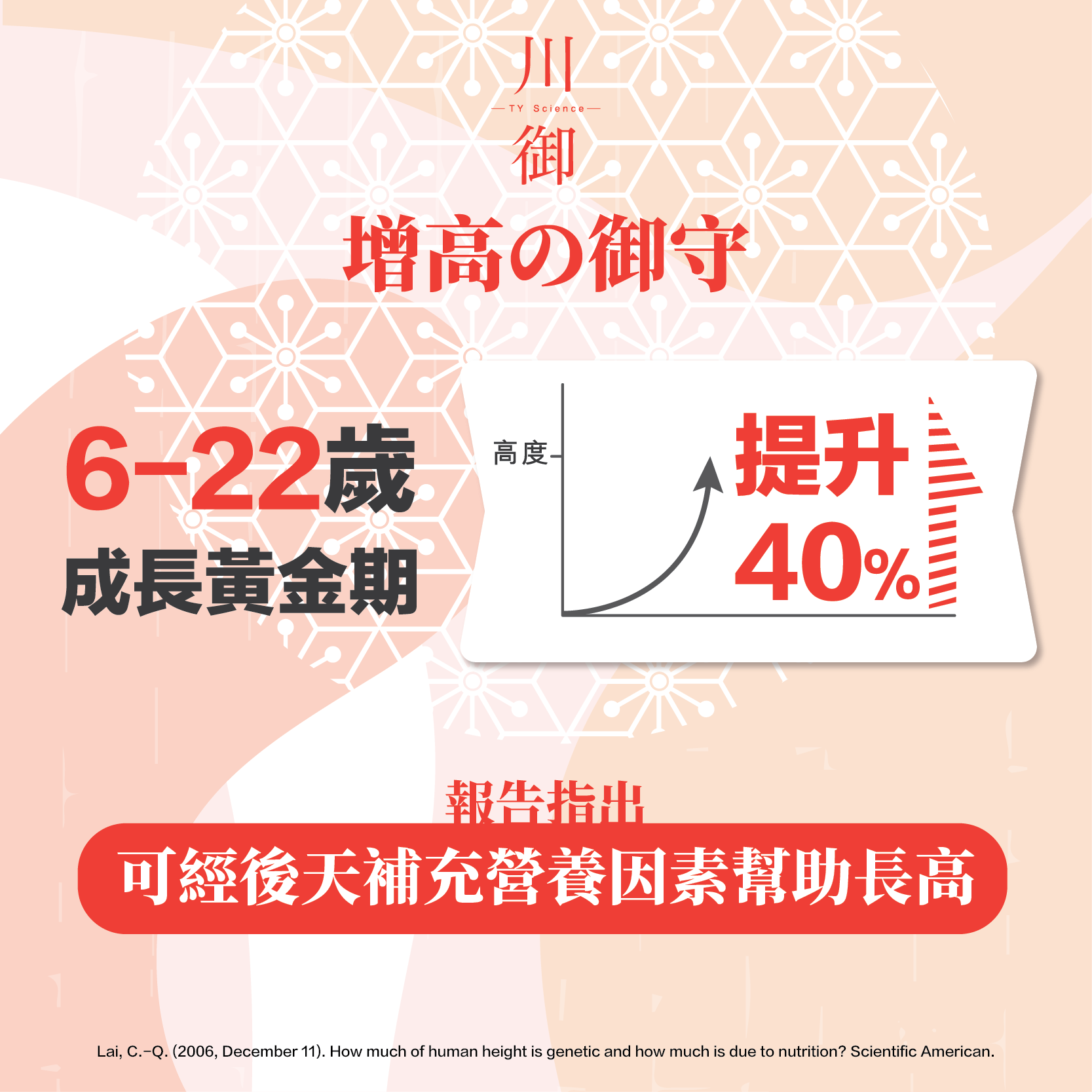 TY Science 川御 增高の御守-川御 TY Science