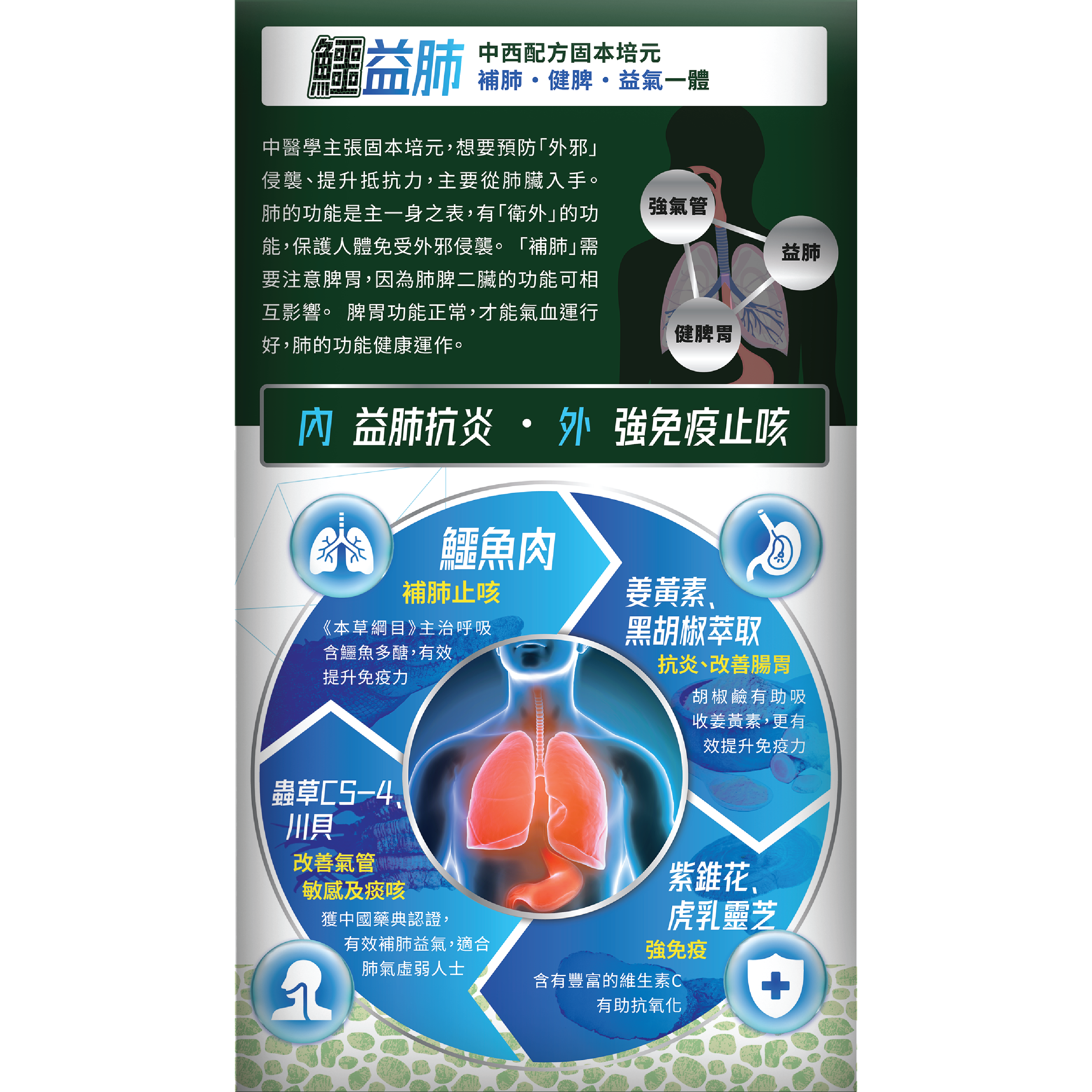 森源 鱷益肺