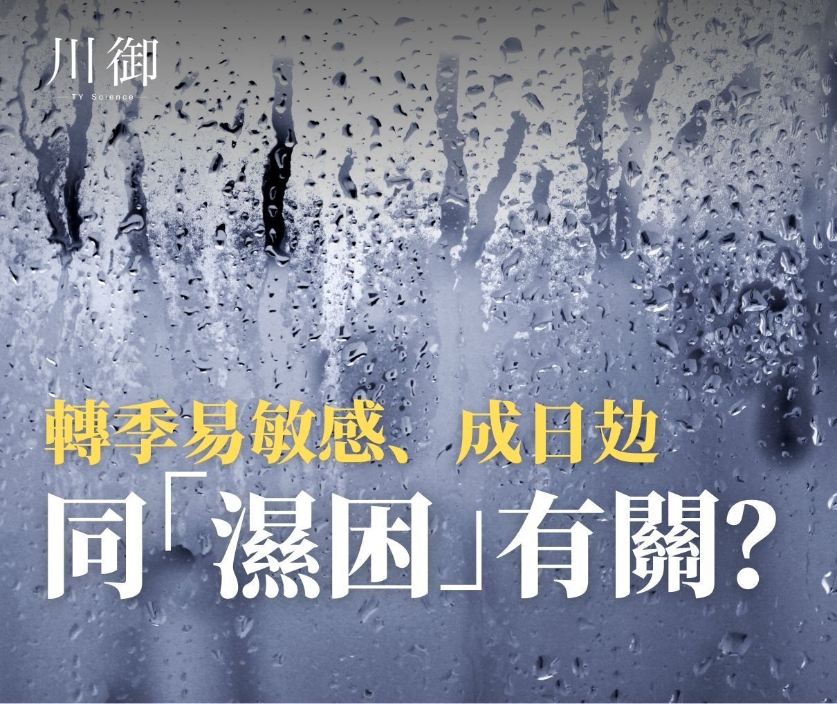 轉季易敏感、成日攰：會唔會同“濕困”有關？-川御 TY Science