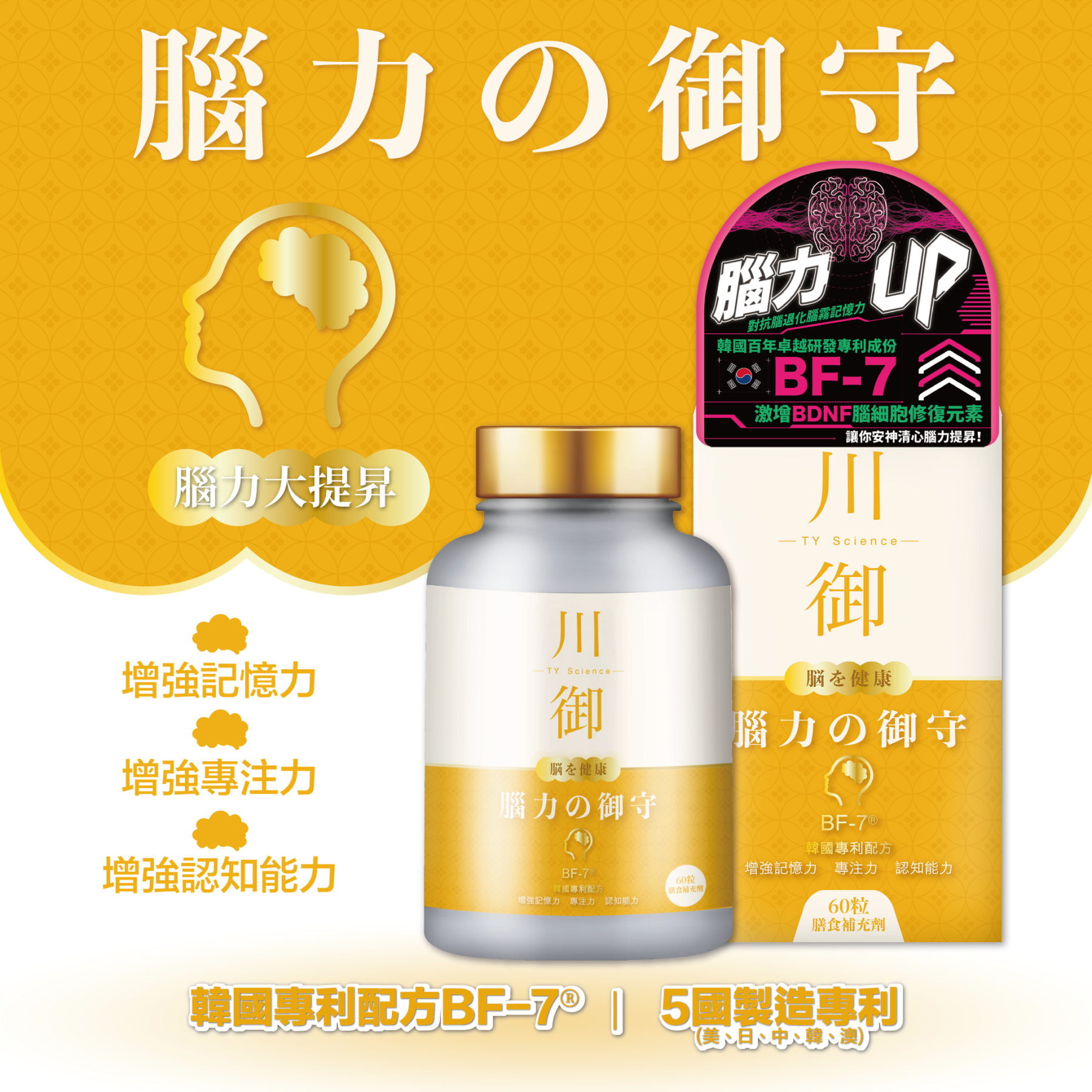 TY Science 川御 腦力の御守-川御 TY Science