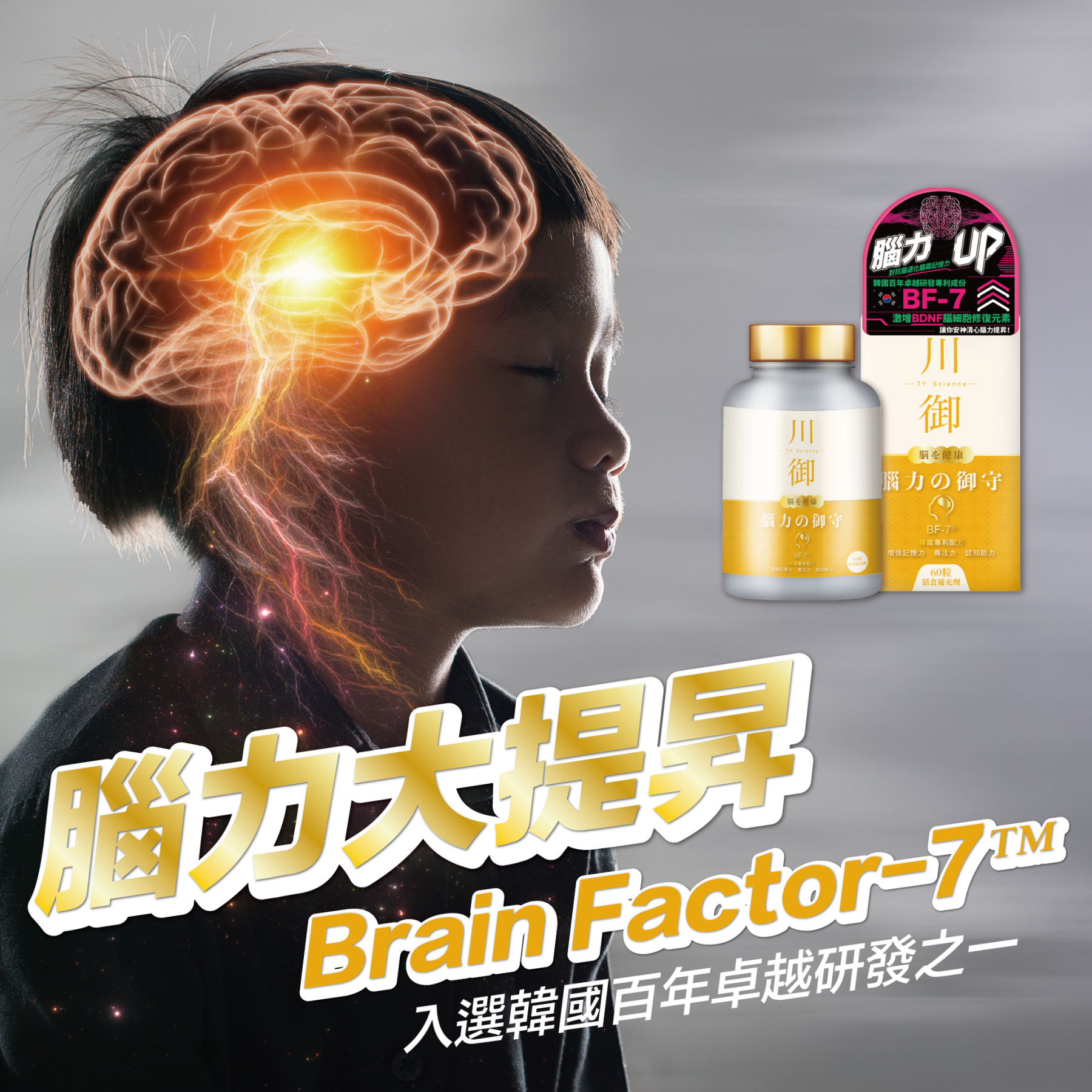 TY Science 川御 腦力の御守-川御 TY Science