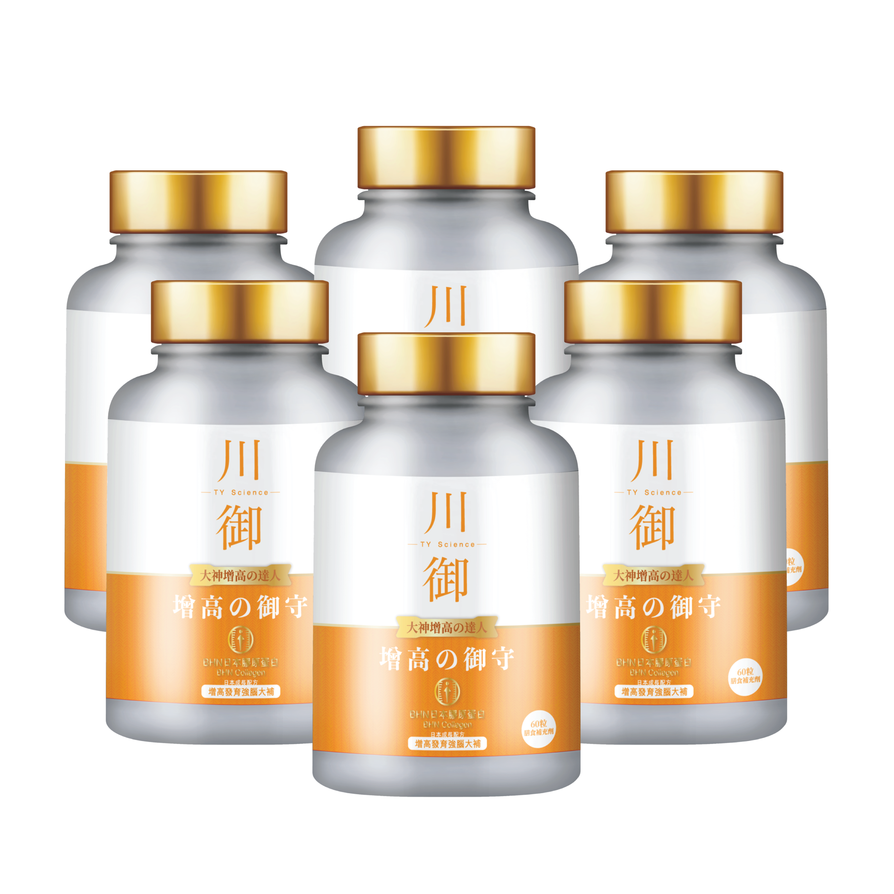 TY Science 川御 增高の御守-川御 TY Science