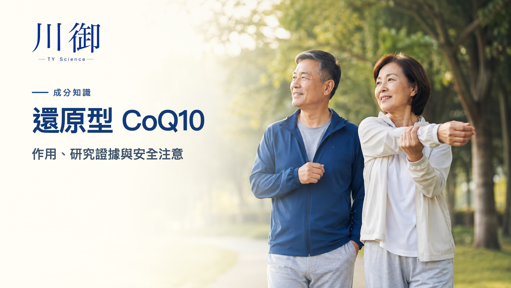 還原型 CoQ10 是甚麼？作用、研究證據與安全注意