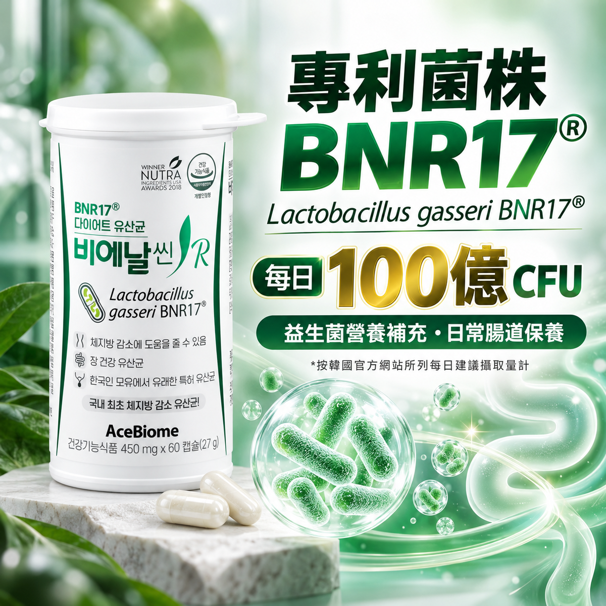 BNRThin 碧愛娜 R 體重管理益生菌（BNR17）60粒