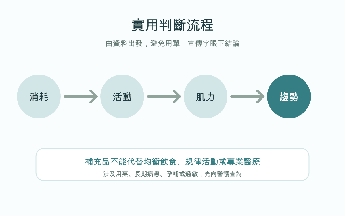 新陳代謝慢點算？年齡、肌肉、活動量及改善方法實用判斷流程