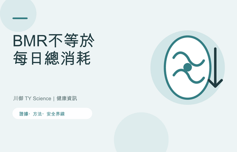 基礎代謝率點計？BMR、TDEE及活動量完整解釋