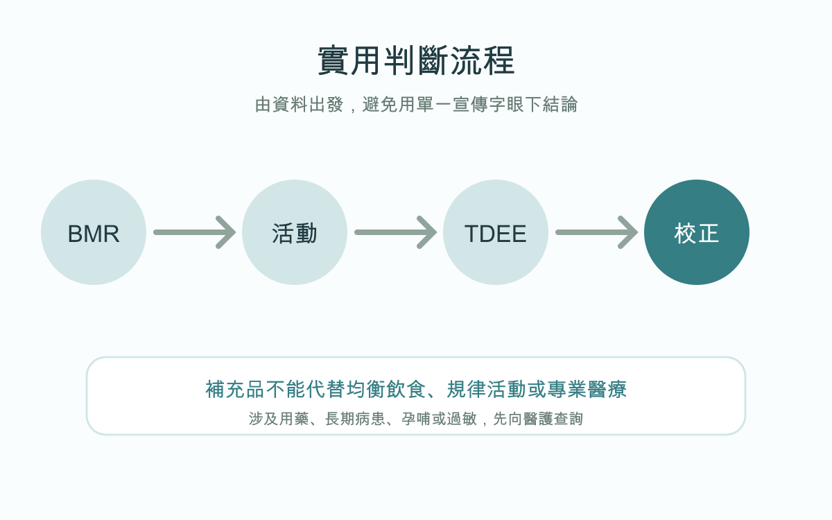 基礎代謝率點計？BMR、TDEE及活動量完整解釋實用判斷流程