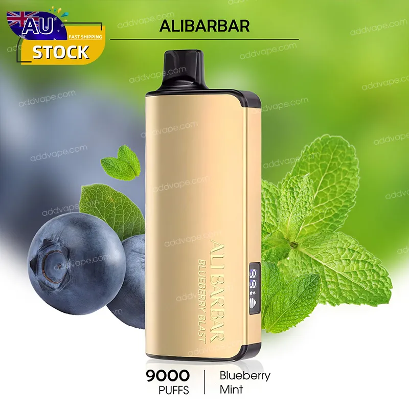 Blueberry Mint - Alibarbar Ingot - 9000Puffs-CHATVAPER
