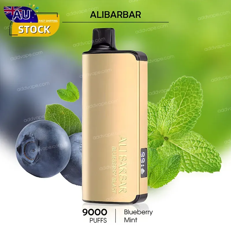 Blueberry Mint - Alibarbar Ingot - 9000Puffs-CHATVAPER
