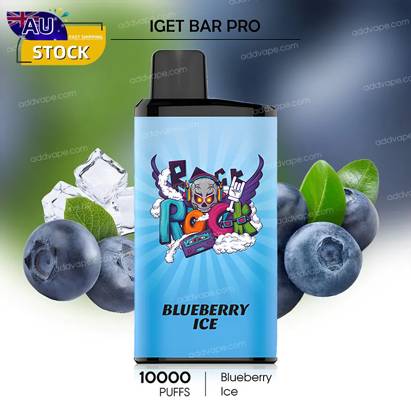 Blueberry Ice - IGET Bar Pro - 10000 Puffs-CHATVAPER