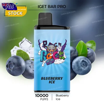 Blueberry Ice - IGET Bar Pro - 10000 Puffs-CHATVAPER