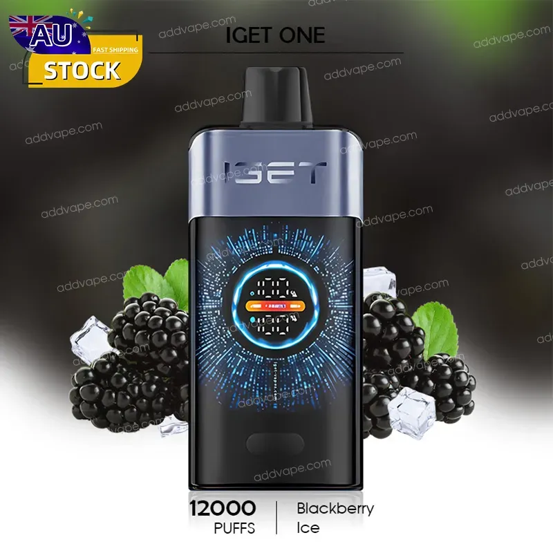 Blackberry Ice - IGET ONE - 12000 Puffs-CHATVAPER