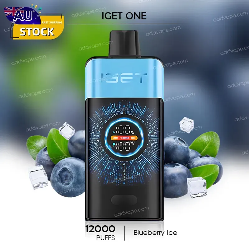 Blueberry Ice - IGET ONE - 12000 Puffs-CHATVAPER
