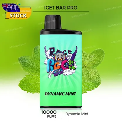 Dynamic Mint - IGET Bar Pro - 10000 Puffs