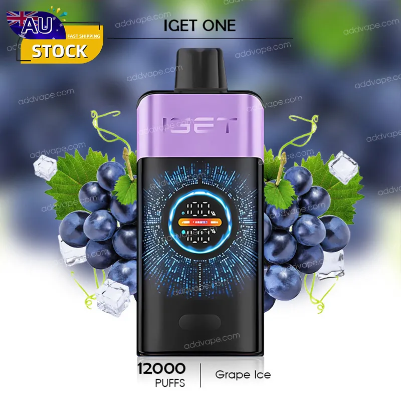Grape Ice - IGET ONE - 12000 Puffs-CHATVAPER