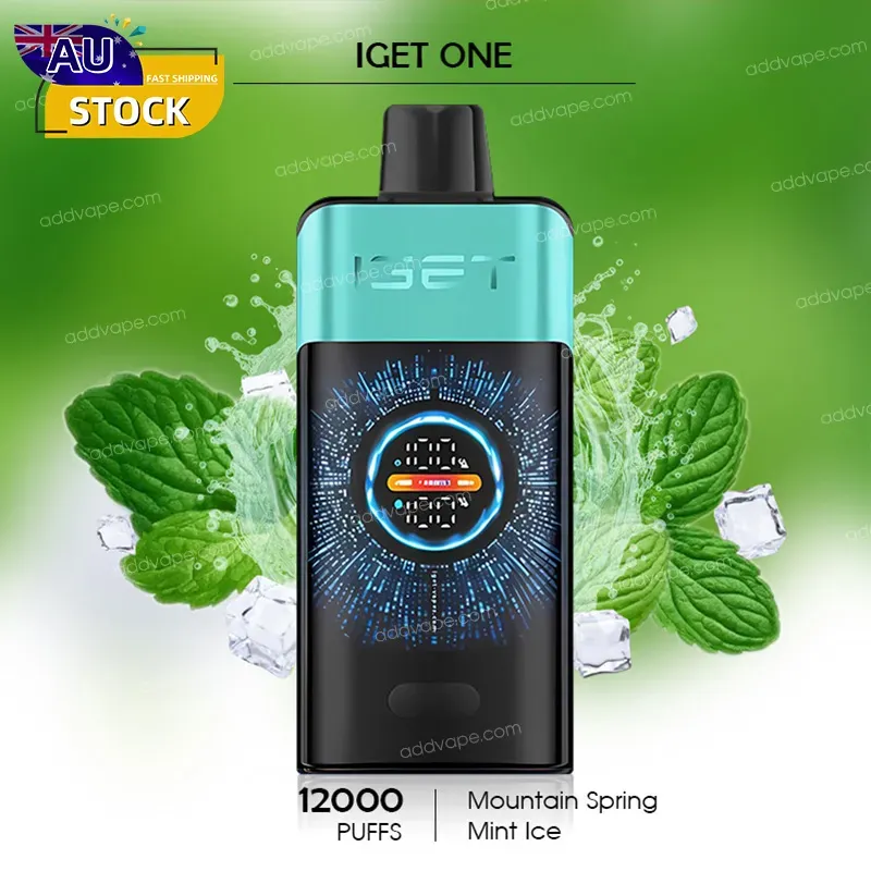 Mountain Spring Mint Ice - IGET ONE - 12000 Puffs-CHATVAPER