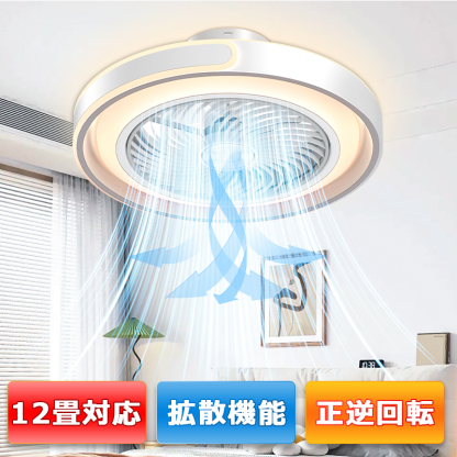 シーリングファ