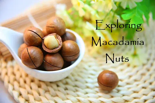 頂級澳洲夏威夷豆 去殼無調味 Macadamias Australia Dry Roasted Nut 225g