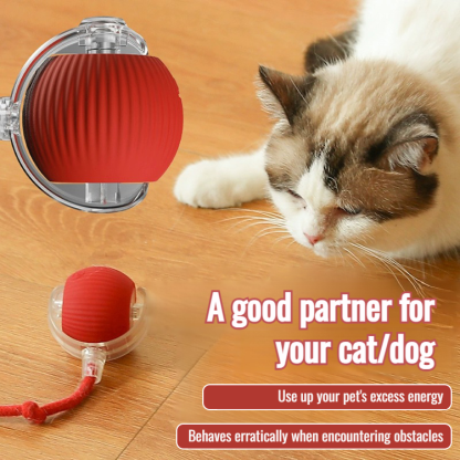 Intelligent Automatic Jumping Pet Toy Ball with Rope Teaser Toy Ball