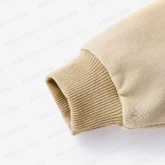 Toddler Round Neck Dinosaur Pocket Sweatshirt - image 5