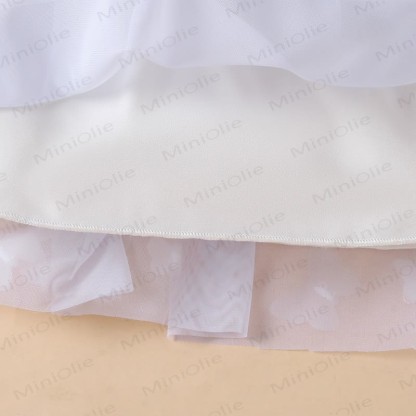 Baby Girl Sweet Flying Sleeves Mesh Dress - image 29