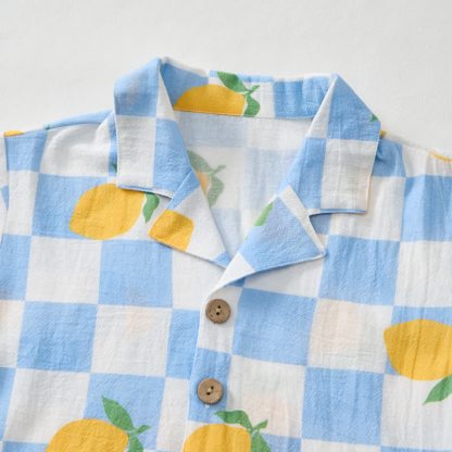 Baby Toddler Lemon Check Shirt and Shorts 2-piece Set - image 4