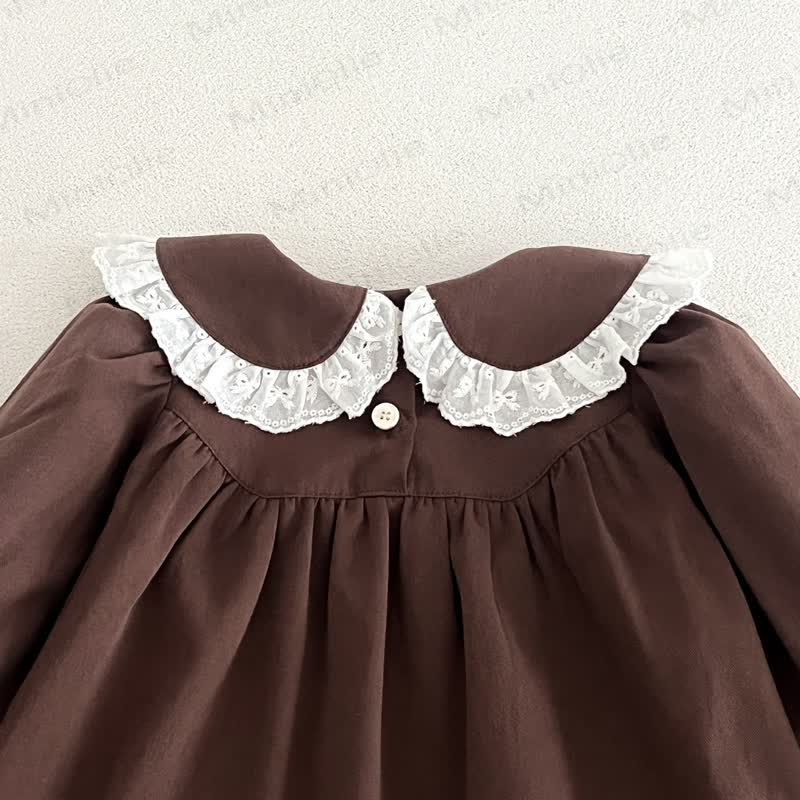 Toddler Girl Lace Collar Dress - image 12